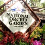 City Experience with National Orchid Garden + Roundtrip Transfers - The Sum Up