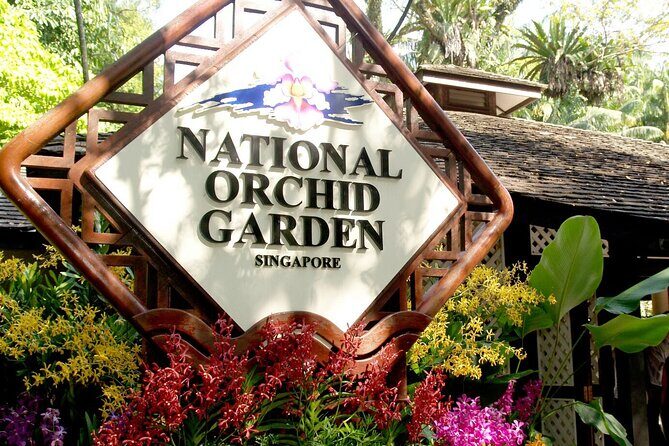 City Experience with National Orchid Garden + Roundtrip Transfers - The Sum Up