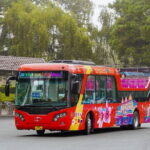 City Sightseeing Da Lat Hop-On Hop-Off Bus Tour - Practical Details and What to Expect