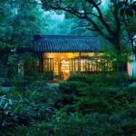 Classic Hangzhou Day Tour Plus Tea Plantation Exploration - Practicalities & What to Expect