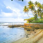 Coastal Ride to Galle from Panadura - Who Will Love This Tour?