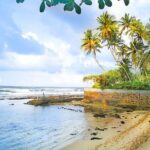 Coastal Ride to Galle from Wadduwa - Practical Details: What to Expect