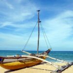 Coastal Tour (8N / 9 D) - The Experience in Detail: What This Tour Offers