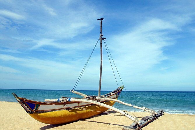 Coastal Tour (8N / 9 D) - The Experience in Detail: What This Tour Offers