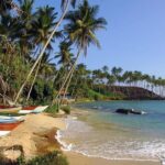 Colombo International Airport to Anywhere in Mirissa-Transport only - Deep Dive Into the Transfer Experience