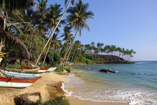 Colombo International Airport to Anywhere in Mirissa-Transport only - Deep Dive Into the Transfer Experience