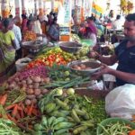 Colombo Market Tour and Cooking Experience - Final Thoughts