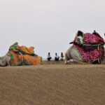 Complete Jaisalmer Tour : 2Night 3 Days - Real Traveler Perspectives
