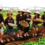 Cooking Class at Tra Que Village in Hoi An - Analyzing the Value