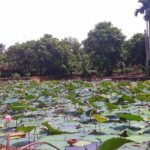 Cooking, Farming and Waterfall In Vietnam Countryside - Is This Tour Worth the Price?