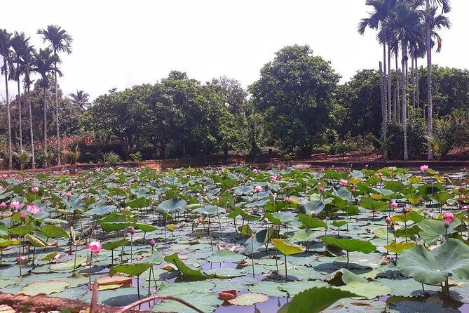 Cooking, Farming and Waterfall In Vietnam Countryside - Is This Tour Worth the Price?