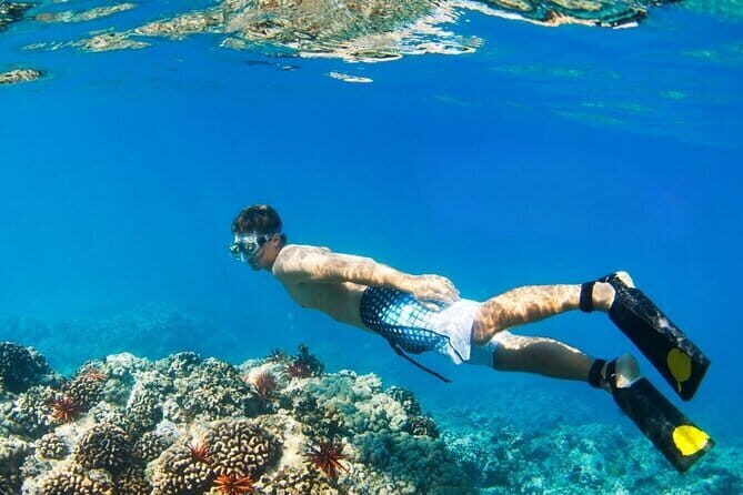 Coral Island Banana Beach Snorkeling and Clear Kayak Tour - What to Expect from the Tour