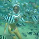 Coral Island Full-day Trip from Phuket City (SHA Plus) - Who Is This Tour Best Suited For?