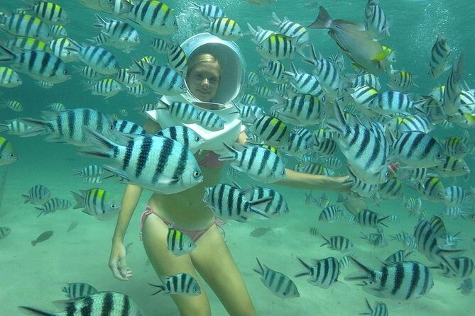 Coral Island Full-day Trip from Phuket City (SHA Plus) - Who Is This Tour Best Suited For?