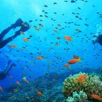 Coral Island Half-day Tour - Who Will Enjoy This Tour?