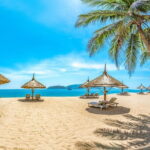 Coral Reef Snorkeling and Floating Bar Party from Nha Trang - Stop 1: Ng Tâm Island - Coral Reef Wonder