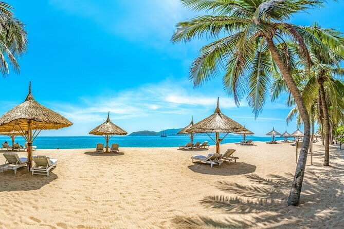 Coral Reef Snorkeling and Floating Bar Party from Nha Trang - Stop 1: Ng Tâm Island - Coral Reef Wonder
