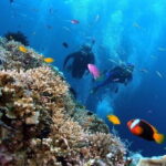 Coral Reef Snorkeling and Floating Bar Party from Nha Trang - Our The Sum Up: Who Will Love This Tour?