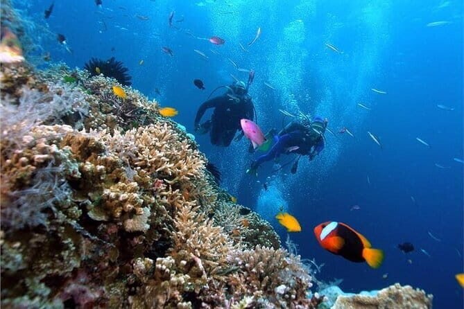 Coral Reef Snorkeling and Floating Bar Party from Nha Trang - Our The Sum Up: Who Will Love This Tour?