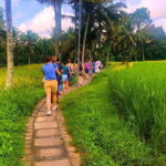 Countryside and Rice Fields Walking Guided Tour in Ubud - What’s Included and What’s Not