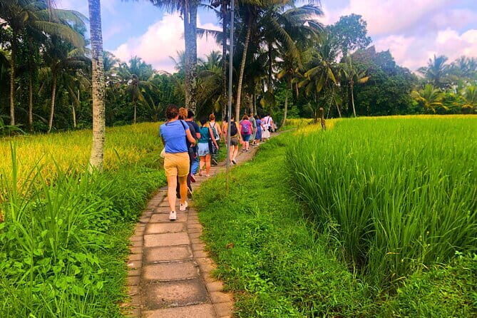 Countryside and Rice Fields Walking Guided Tour in Ubud - What’s Included and What’s Not