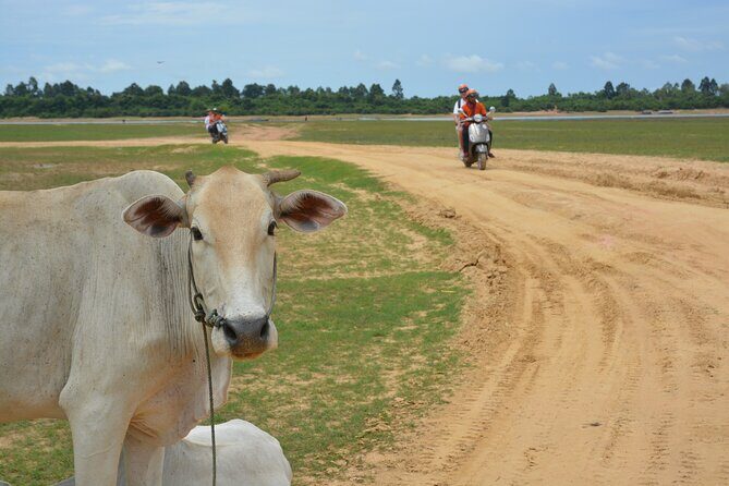 Countryside Tour by Scooter - Practical Details and What to Expect