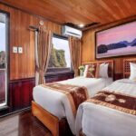 Cozy Bay Classic Cruise 2D1N,Kayak,Swim,Titop,Cave By Expressway - The Bottom Line: Who Should Consider This Tour?
