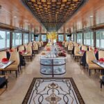 Cozy Bay Halong Day Trip, 5 Star Cruise from Hanoi Expressway - What Travelers Are Saying