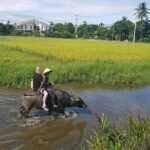 Cruiseship Trip from TIEN SA Port to visit HOI AN COUNTRYSIDE & Foot Massage - Who Would Love This Experience?