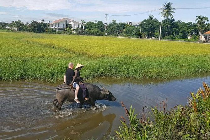 Cruiseship Trip from TIEN SA Port to visit HOI AN COUNTRYSIDE & Foot Massage - Who Would Love This Experience?