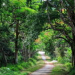 Cuc Phuong National Park and Bear Sanctuary Full Day Tour - Transport, Pricing, and Overall Value