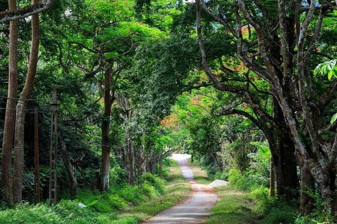 Cuc Phuong National Park and Bear Sanctuary Full Day Tour - Transport, Pricing, and Overall Value