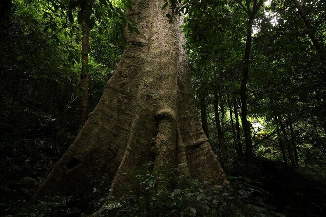 Cuc Phuong National Park Trekking: Private Day Tour From Hanoi - Frequently Asked Questions