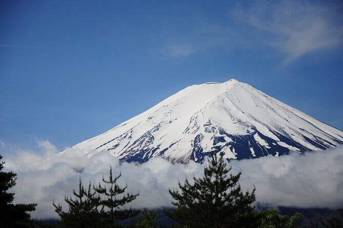 Customizable 10 Hour Private Tour from Tokyo to Mount Fuji - Who Would Find This Tour Most Valuable?