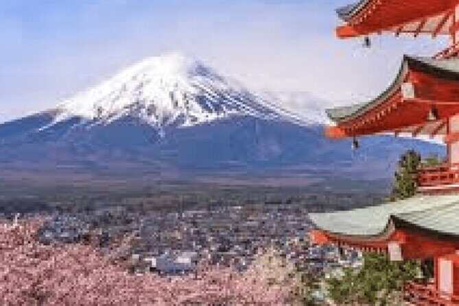 Customizable Private Mt. Fuji Tour with Van - Relaxing in Hakone: The Hot Spring Paradise