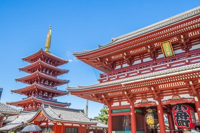 Customizable Tokyo Tour - Authentic Experiences and Hidden Gems