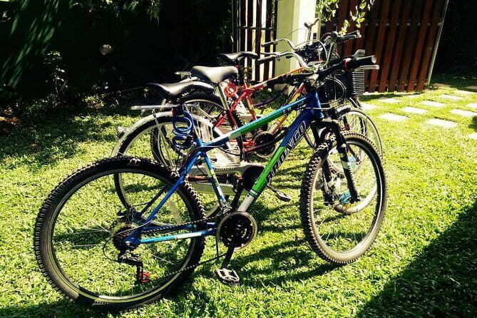 Cycling in Bentota Countryside - Value and Who Should Consider This Tour
