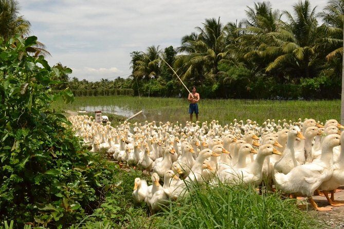 Cycling inner Mekong BenTre TraVinh CanTho 3days - Who Will Appreciate This Tour?