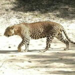 Cycling to Rawana Waterfall, Ravana's Cave and Ella Gap - Why This Tour Might Be Perfect for You
