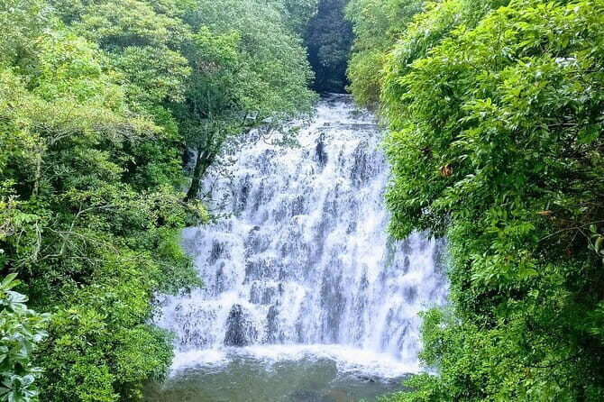 Da Lat Countryside Minivan Shared Tour - Authentic Experiences and Real Insights