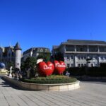 Da Nang - Ba Na Hills Free and Easy tour. - Who This Tour Is Best For