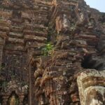 Da Nang Buddist Tour - Visit pagodas in Da Nang City Private Tour - What’s Included and What’s Not