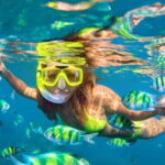 Da Nang: Son Tra Peninsula Exploration - Snorkeling, Fishing - Why This Tour Gets It Right