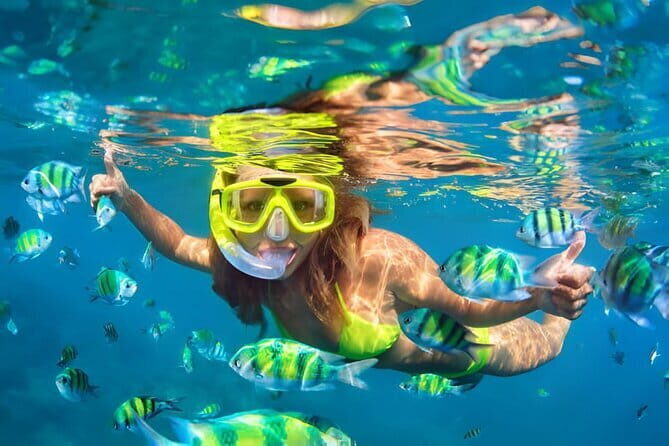 Da Nang: Son Tra Peninsula Exploration - Snorkeling, Fishing - Why This Tour Gets It Right