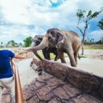 Da Nang: South Hoi An River Safari With Candle-lit Beach Dinner - The Sum Up