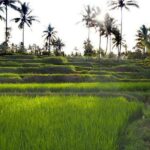 Daily Life Tour: Live Like A Local Farmer - Who Should Book This Tour?
