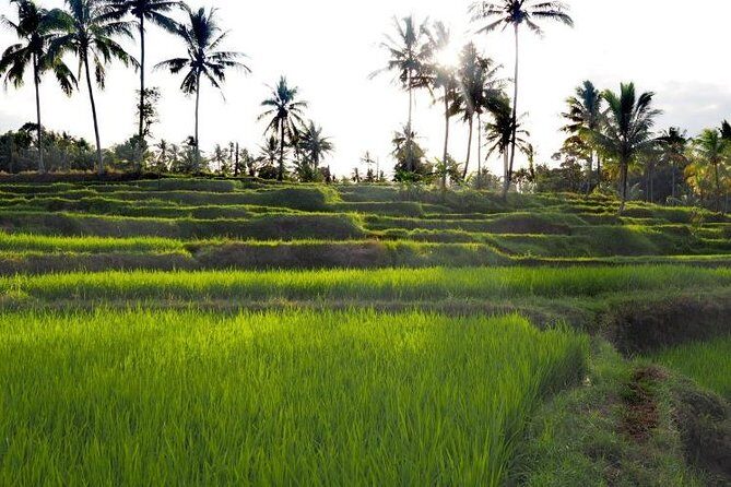 Daily Life Tour: Live Like A Local Farmer - Who Should Book This Tour?