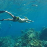 Daily West Nusa Penida Island and Snorkeling Tour with Lunch from Bali - From Bali to Nusa Penida: What to Expect