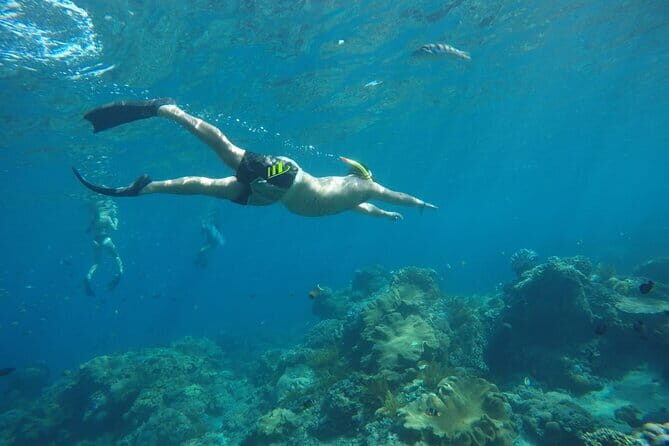 Daily West Nusa Penida Island and Snorkeling Tour with Lunch from Bali - From Bali to Nusa Penida: What to Expect