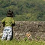 Dal Lake and Kangra Fort Guided Day Tour From Dharamshala - Practical Details and What to Expect